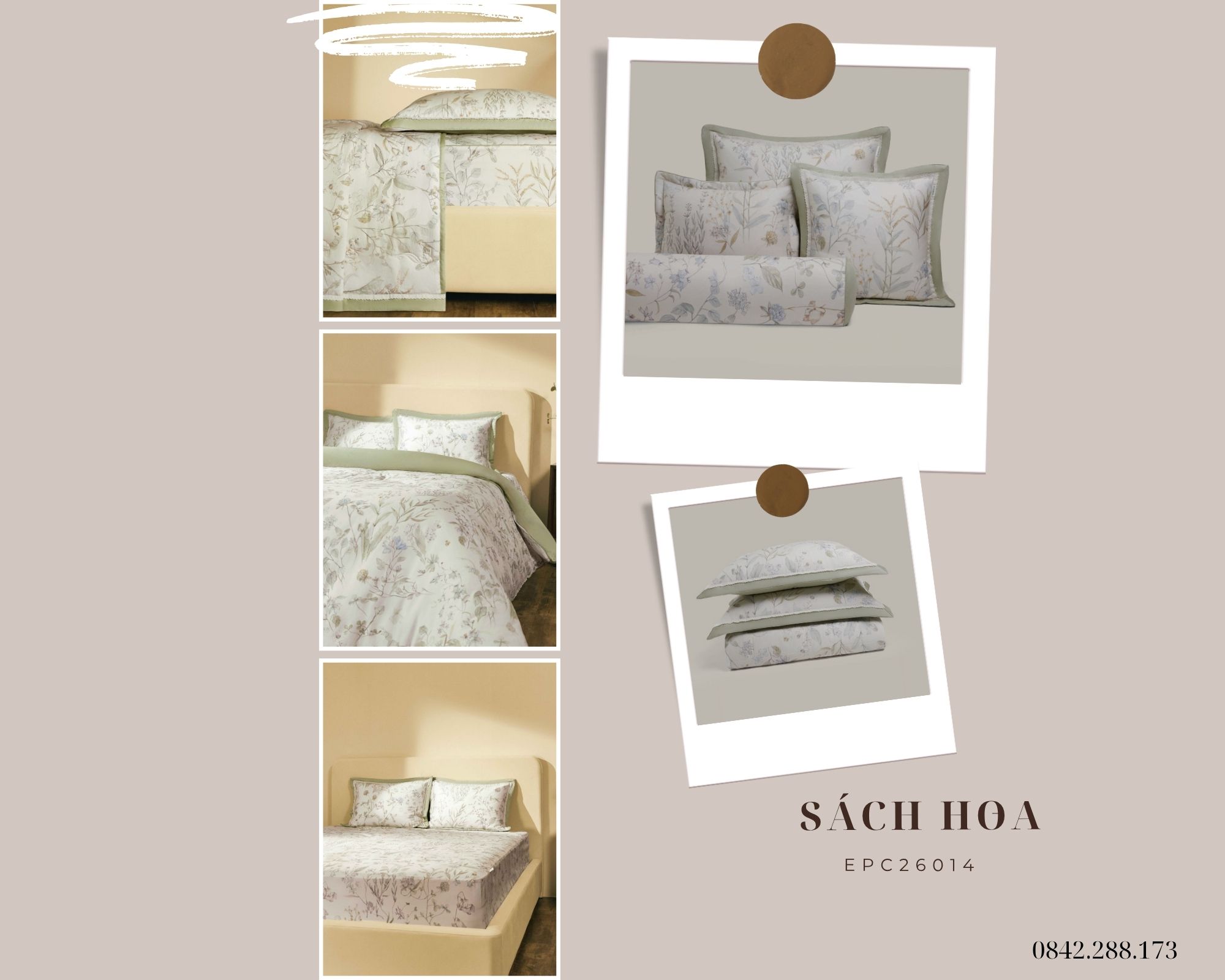 Bộ chăn ga gối Everon Sách Hoa - EPC26014