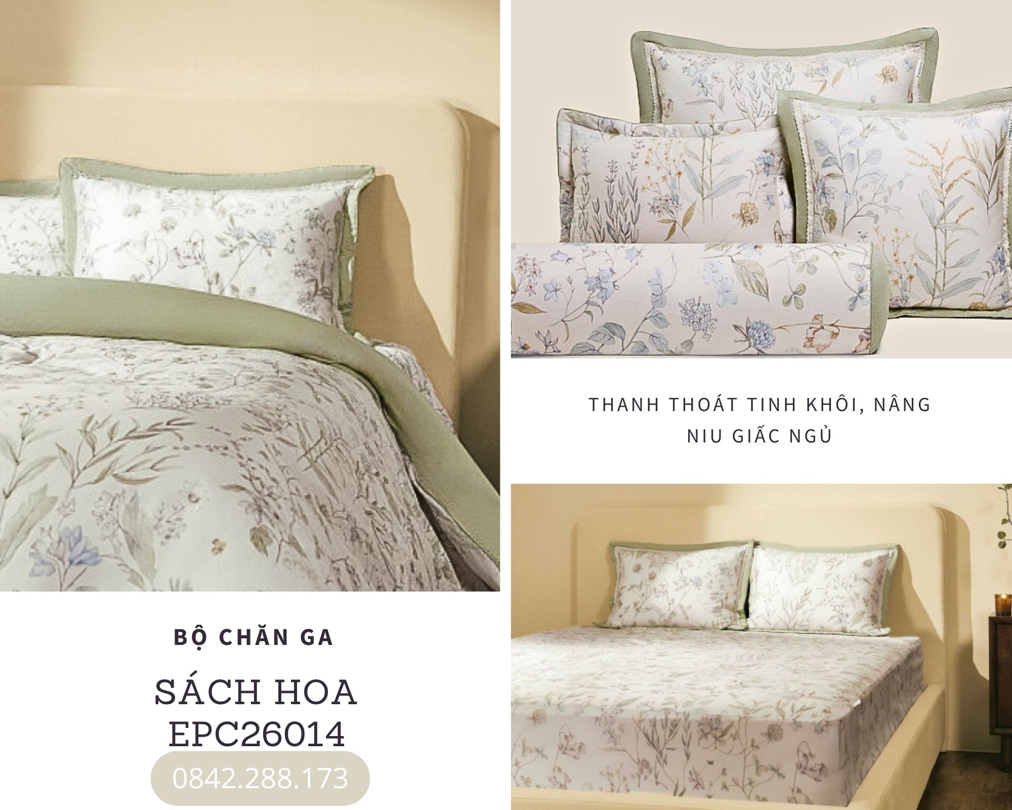 Bộ chăn ga gối Everon Sách Hoa - EPC26014