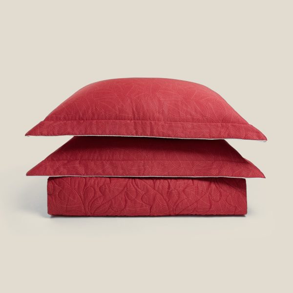 Bộ chăn ga gối Everon Lá Thu Đỏ - EPC26016