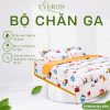 Bộ chăn ga gối Everon Bình Minh Trong Rừng Xanh – EPC24041