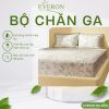 Bộ chăn ga gối Everon Sách Hoa - EPC26014