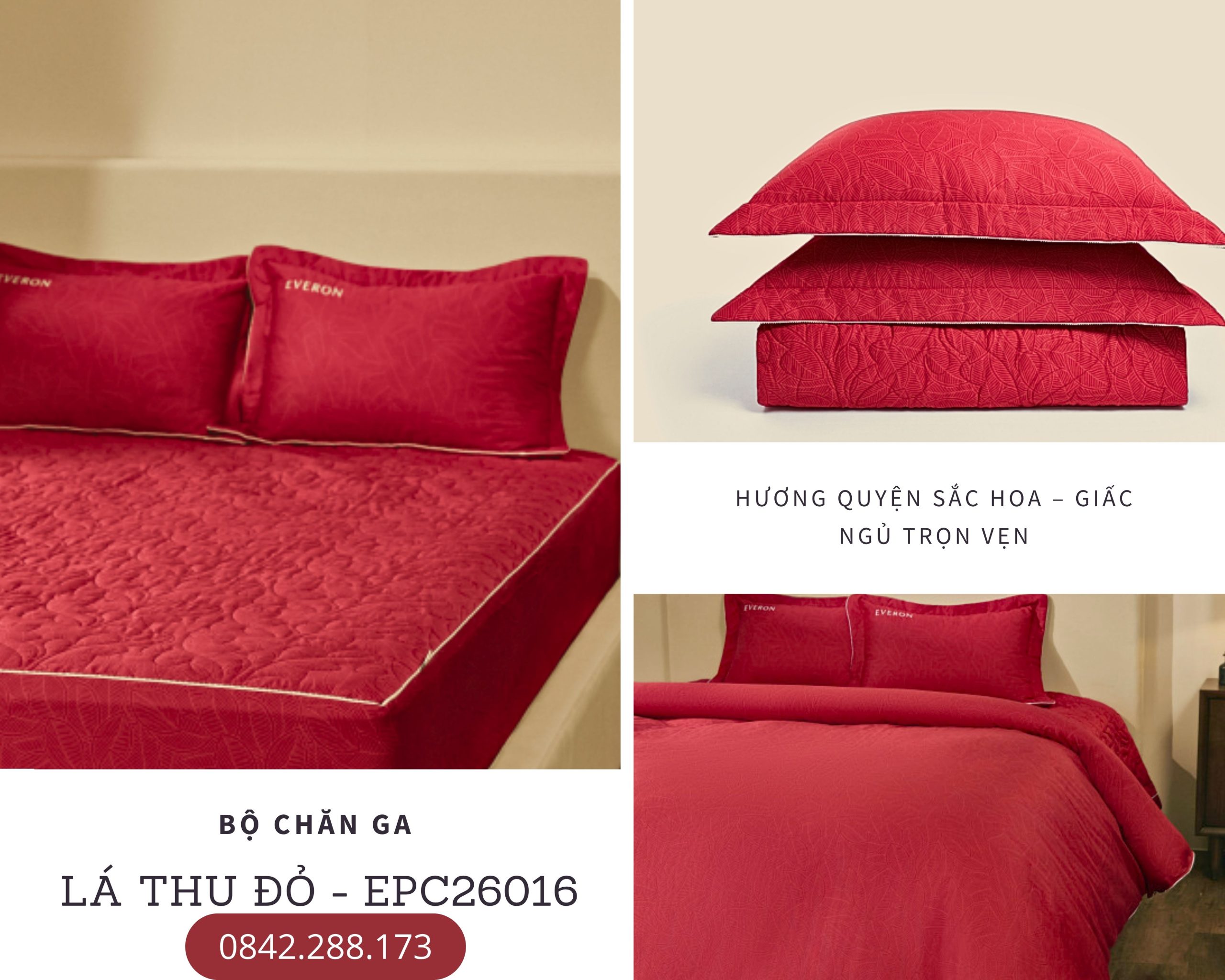 Bộ chăn ga gối Everon Lá Thu Đỏ - EPC26016