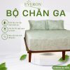 Bộ chăn ga gối Everon Monstera - EPT26015