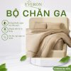 Bộ chăn ga gối Everon Cánh đồng vàng - ESTMC26006