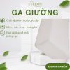 Ga chun Everon Dải Màu Mạnh Mẽ - EPM25043