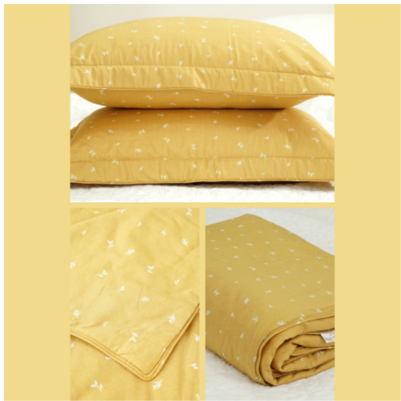 Bộ chăn ga gối Everon Cúc họa mi – MDSM2201B 