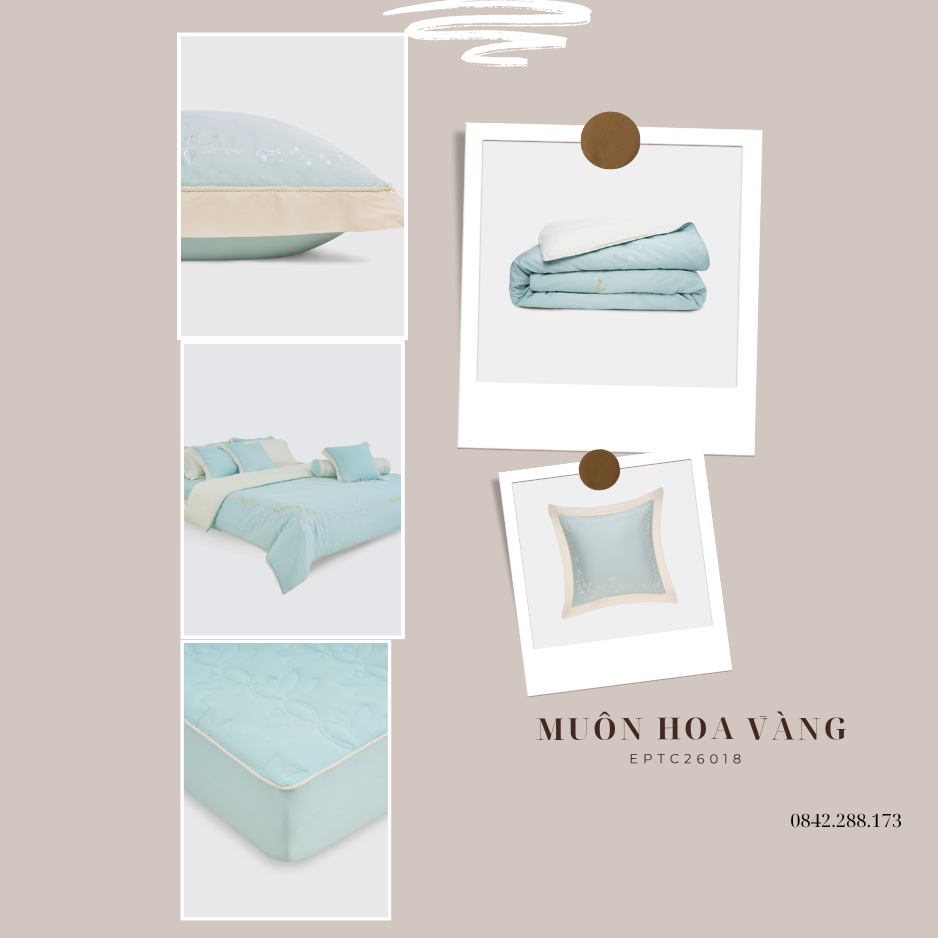 Bộ chăn ga gối Everon Thiên Hà Cao Quý - ASHM25101