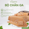 Bộ chăn ga gối Everon Victory - ASHM23105