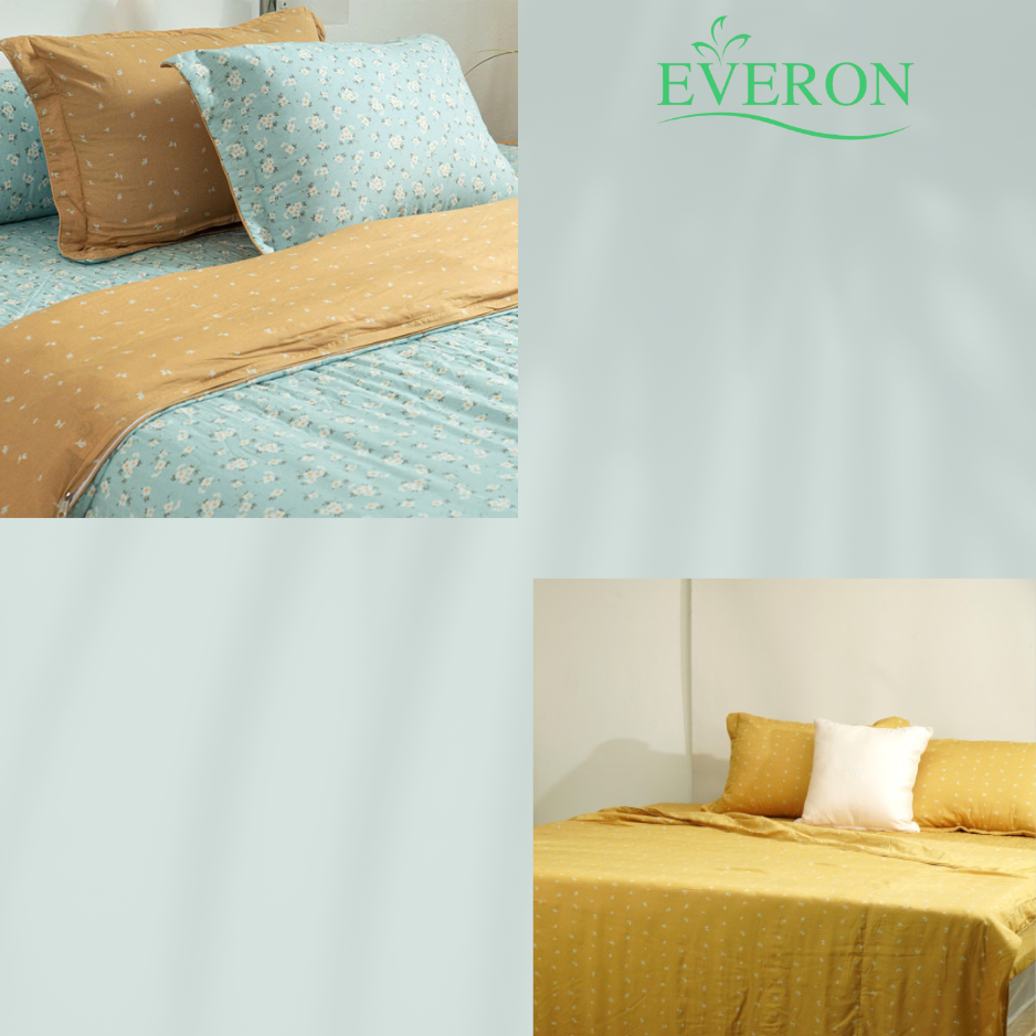 Bộ chăn ga gối Everon Cúc họa mi - MDSM2201B