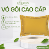 Vỏ gối Sắc Hạ - ESC23002