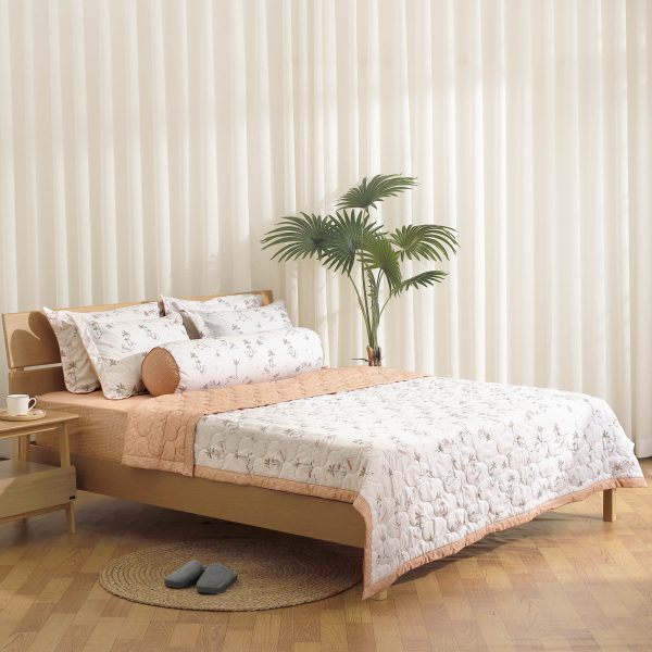 Chăn K-Bedding KMP504