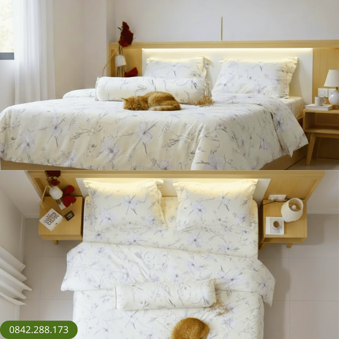 Bộ ga chun 062 Thome Tencel