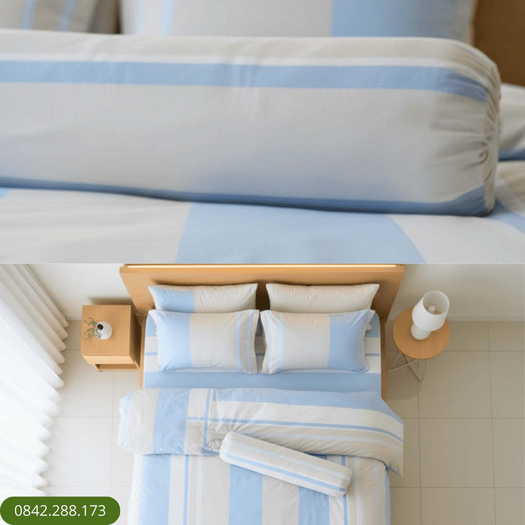 Bộ ga chun 055 Thome Tencel