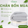 Chăn Mẫu Đơn Kintsugi - ESMS24011