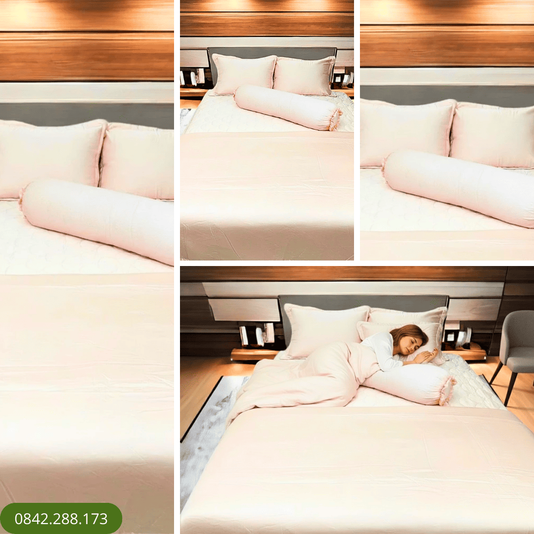 Bộ Ga Chun Có Chăn T6-08