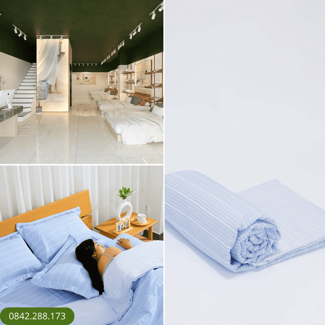 Chăn bốn mùa K-Bedding KMTP452
