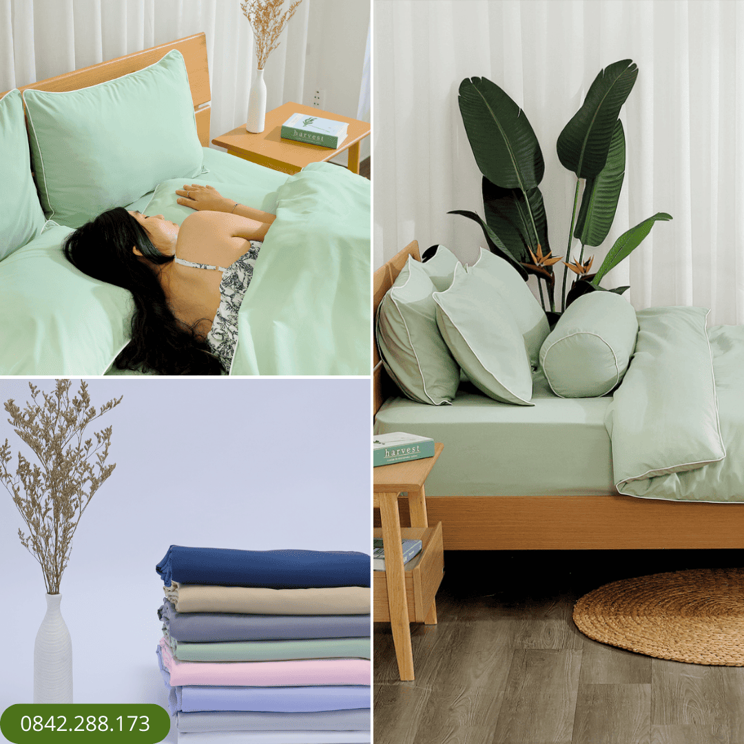 Chăn K-Bedding KMS405