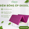 Đệm bông ép Ekool