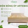 Đệm bông ép Artemis