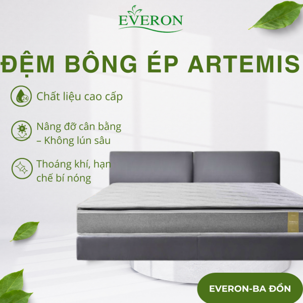 Đệm bông ép TOP PLUS - New