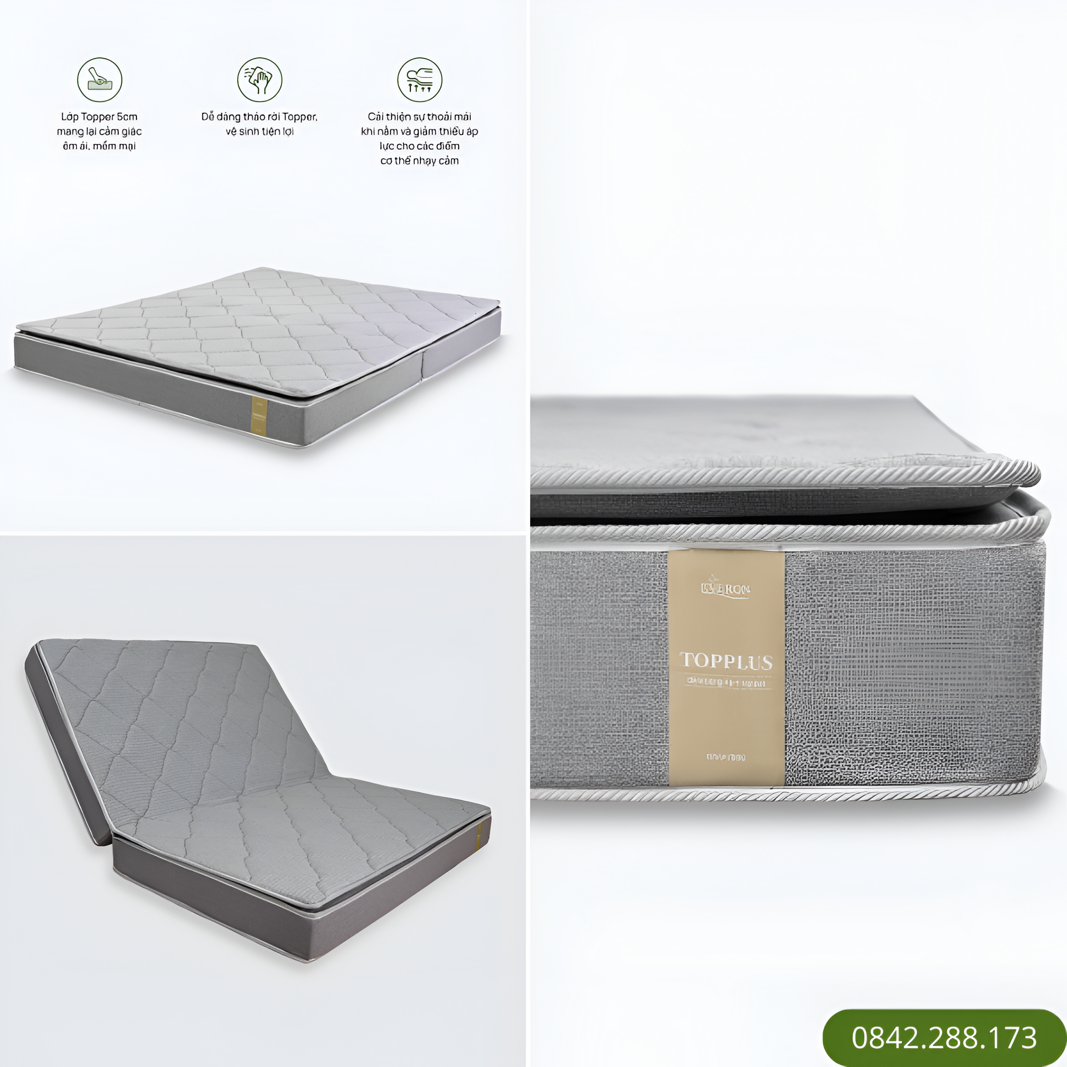 Đệm bông ép TOP PLUS - New