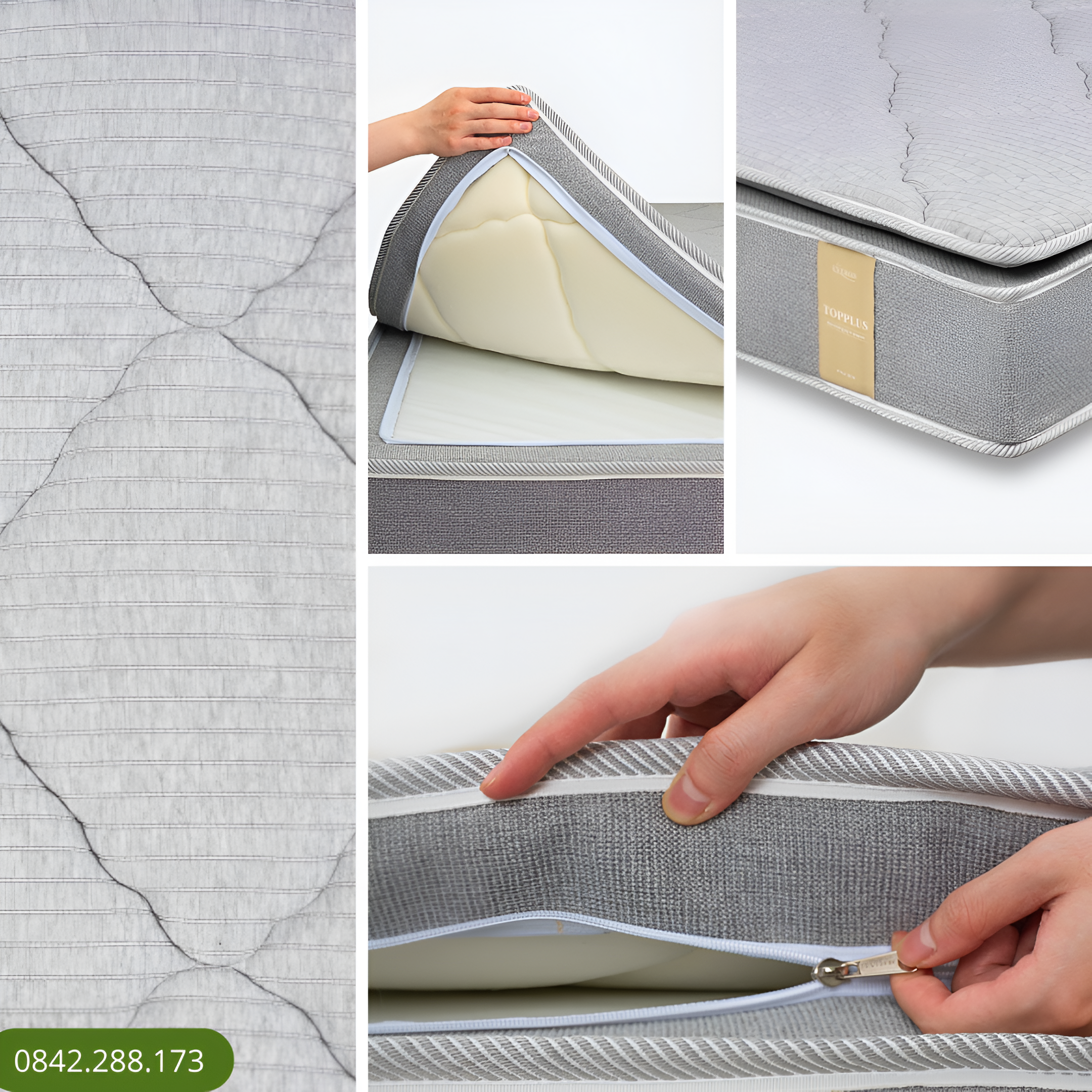 Đệm bông ép TOP PLUS - New