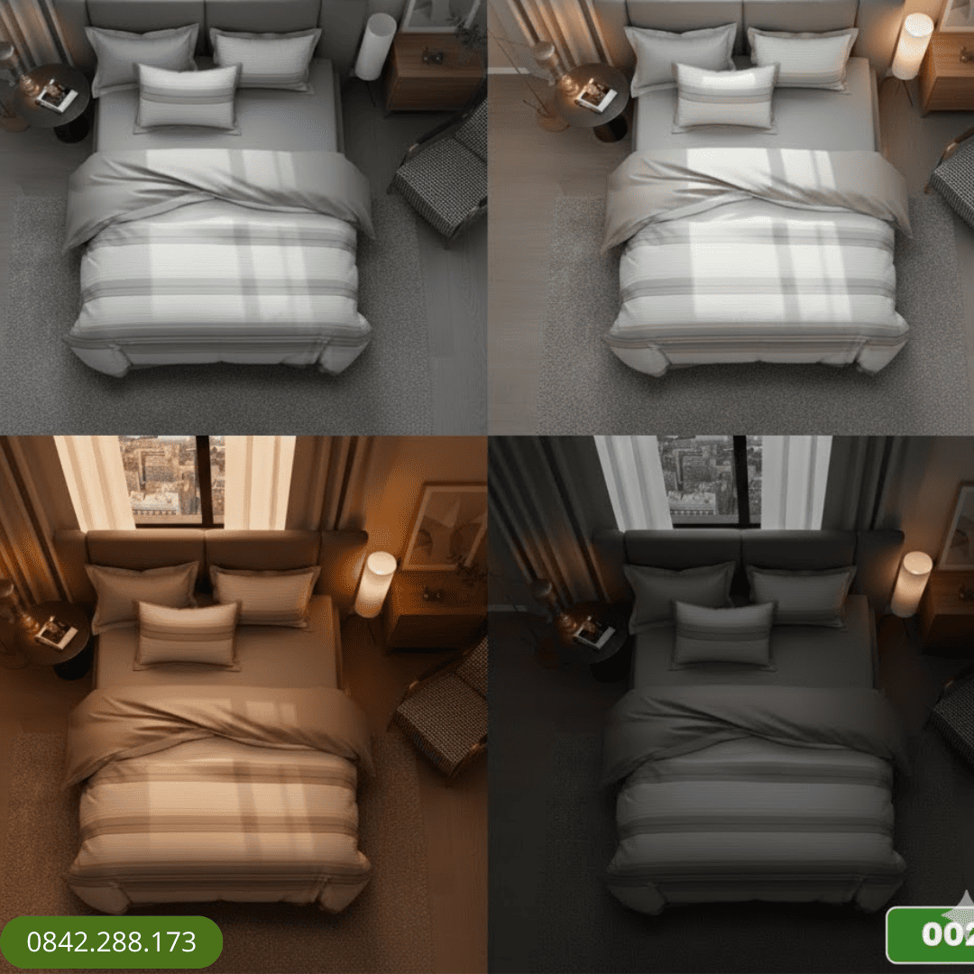 Bộ ga chun 002 Thome Tencel