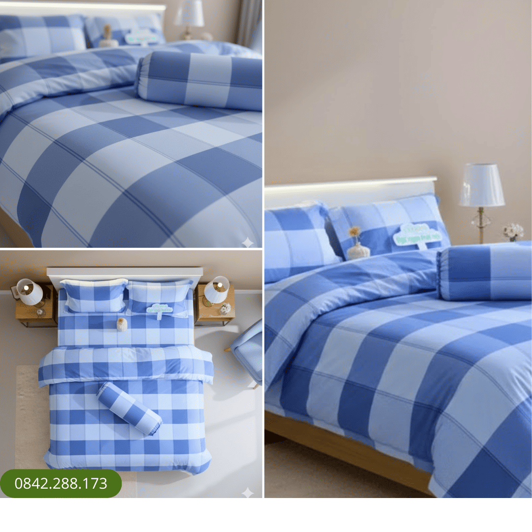 Bộ ga chun 077 Thome Tencel