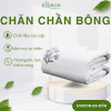 Chăn K-Bedding KMP303