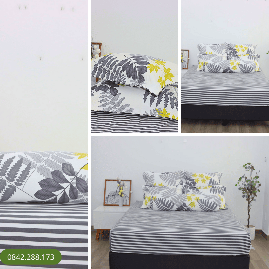 Bộ ga chun Cotton K-Bedding KCP304 