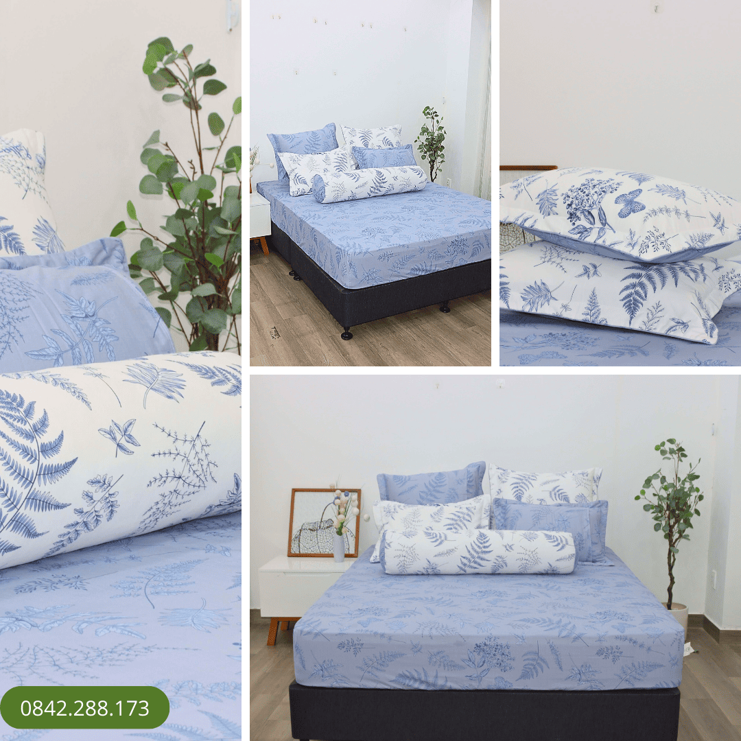 Bộ ga chun Cotton K-Bedding KCP306 