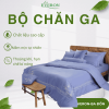 Khúc Hát Cúc Chi Trắng - ESMS24012