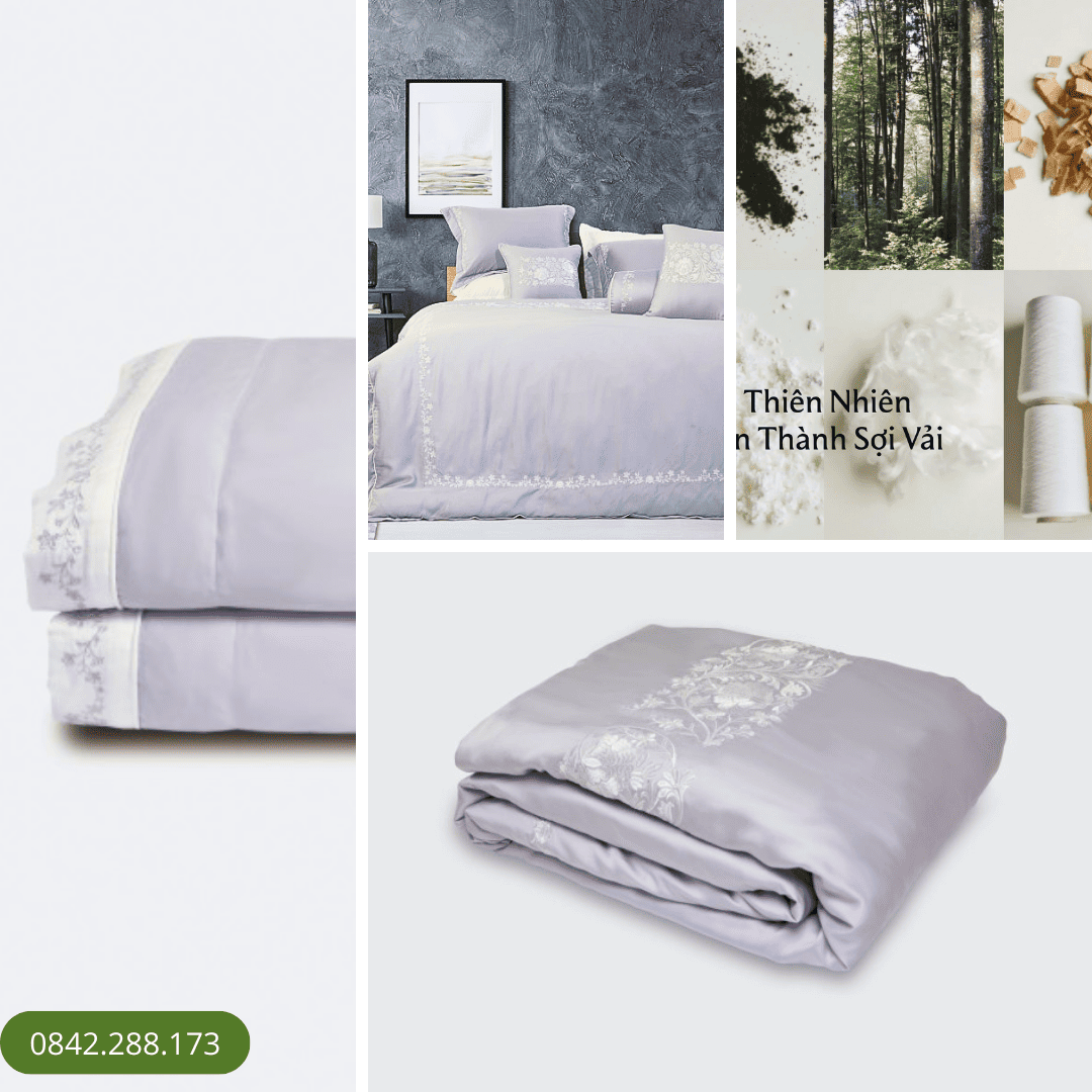 Chăn Sắc Đông - EST23035