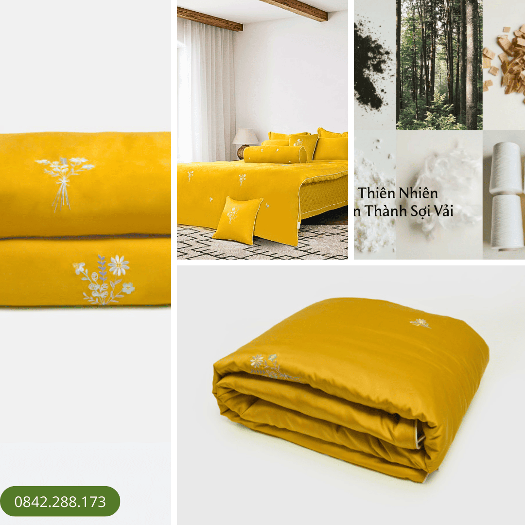 Chăn Sắc Hạ - ESC23002
