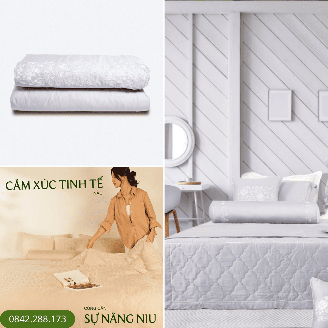 Chăn Sắc Đông - EST23035