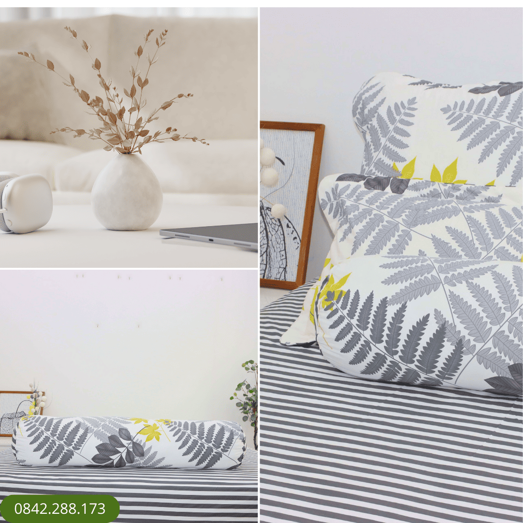 Bộ ga chun Cotton K-Bedding KCP304 