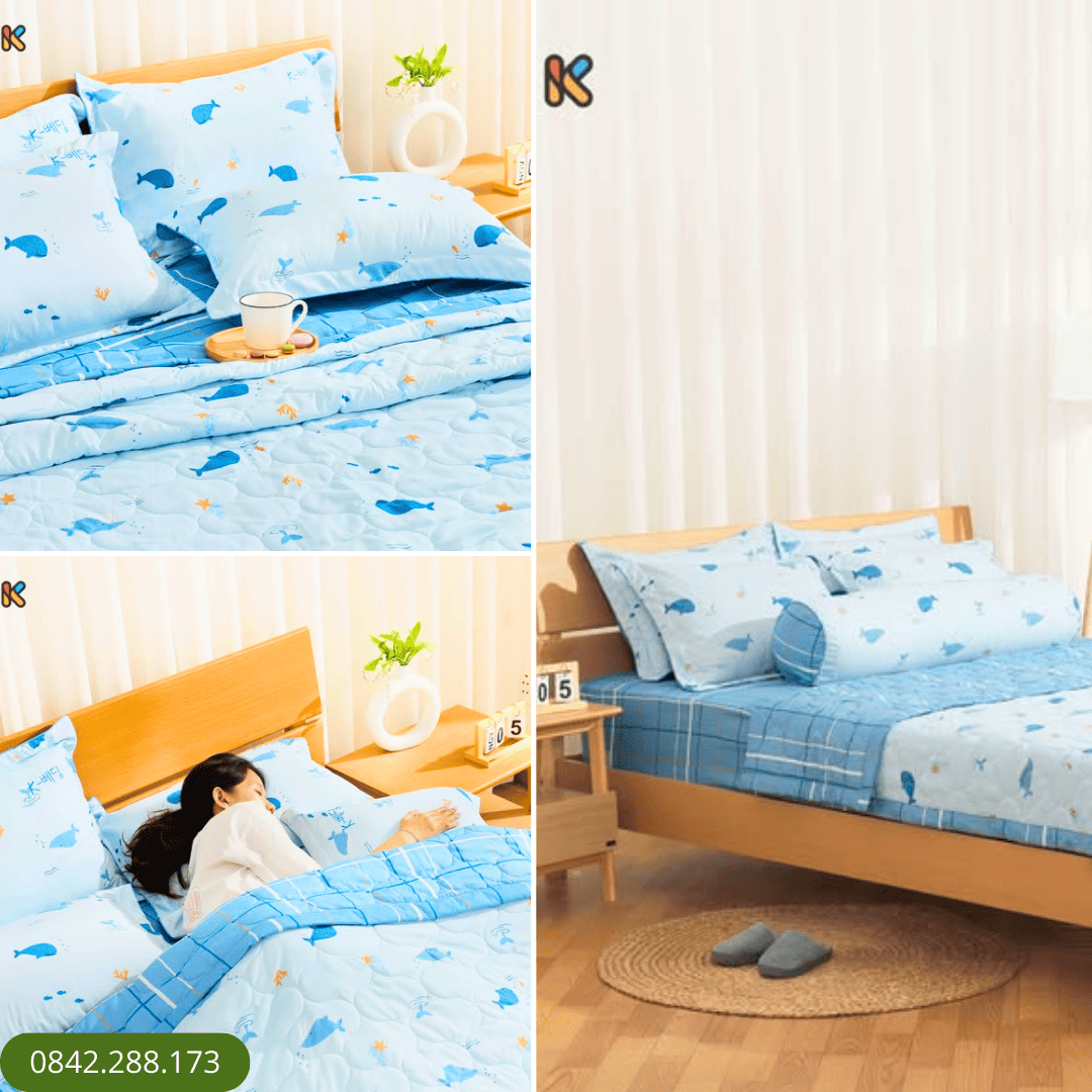 Chăn K-Bedding KMP506
