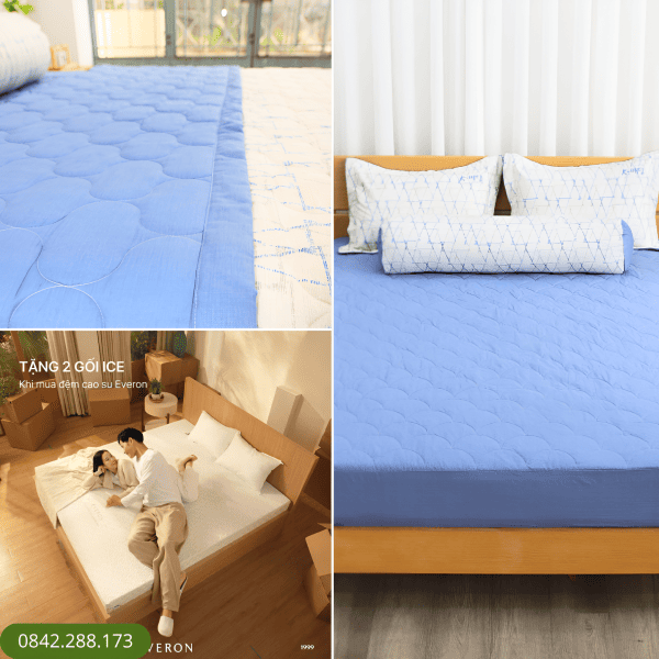 Bộ ga chun Cotton Everon Lite K-Bedding KCP101 