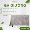 Ga giường Everon Chạng Vạng - EPTC26017