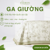Ga giường Everon Sách Hoa - EPC26014