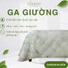 Ga giường Everon Thu Thiên Thanh - EPTC26011