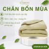 Chăn bốn mùa Everon Cánh Hoa Vàng - EST25040