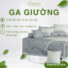 Ga Giường Everon EPM22073