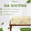 Ga giường Everon Khu rừng cổ tích - CPT26202